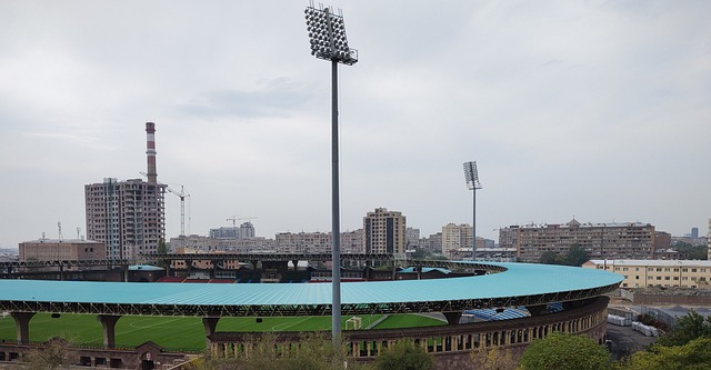 的职业生涯 的职业生涯